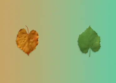 คำพยานชีวิต ถ้าพระเจ้าเปลี่ยนผมได้ พระเจ้าเปลี่ยนคุณได้