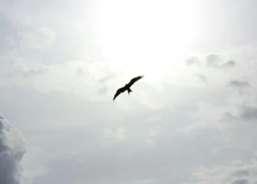 พระเจ้า Reset สาวประเภทสองกลับมาเป็นชายอีกครั้ง