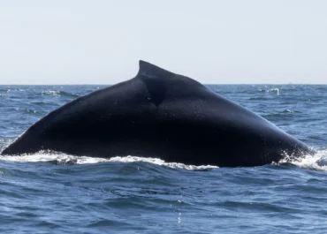 สรุปคำเทศนา 22 กุมภาพันธ์ 2026 | ส่องแสงอย่างพระคริสต์