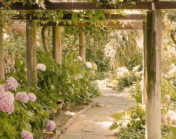 ภารกิจแห่งความรักของพระเจ้า