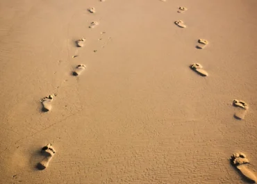 สรุปคำเทศนา 1 มีนาคม 2026 | สวมวิญญาณชีวิตที่เป็นแบบอย่าง นำสู่การส่องสว่าง